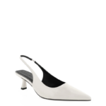 Ayla Pointed Pump